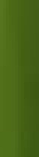 Advancis Ginkgo Biloba